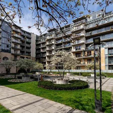 Glossy G30 * Kraków